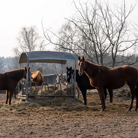 By Comfort Housing - Up To 7 Guests *