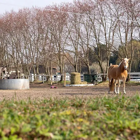 By Comfort Housing - Up To 7 Guests Villa