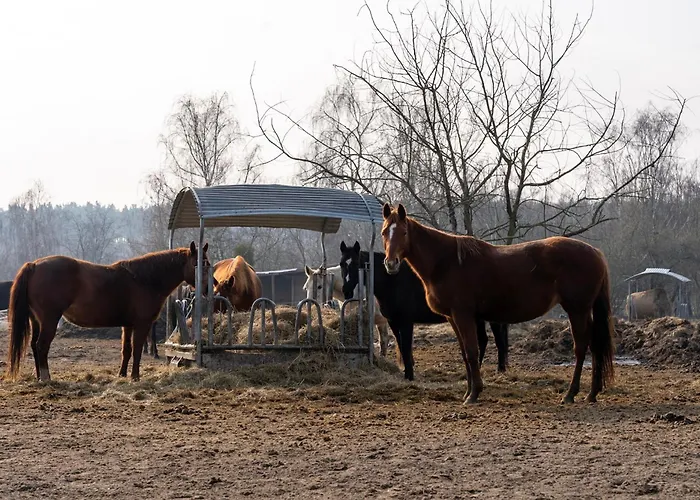 By Comfort Housing - Up To 7 Guests *