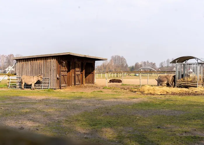 Villa By Comfort Housing - Up To 7 Guests *