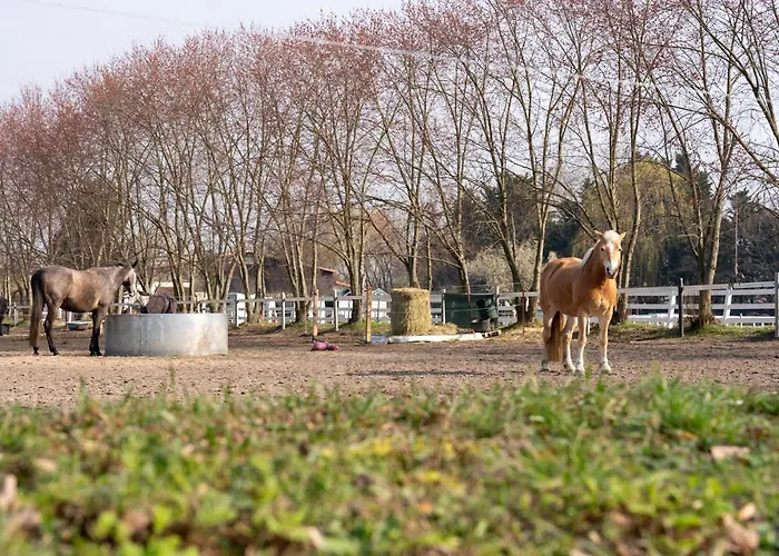 By Comfort Housing - Up To 7 Guests Villa